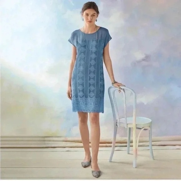 Sundance Twilight Embroidered Chiffon Shift Dress Small Gatsby - Picture 1 of 3